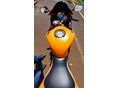KAWASAKI ZX-6R (NINJA) 2007/7 - 5