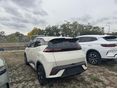 BYD DOLPHIN SURF 2026 - 2