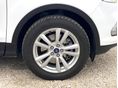 FORD KUGA 2018/3 - 20
