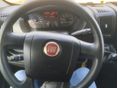 FIAT 2021 - 11