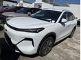 GEELY STARRAY EM-I 2026/5 - 2