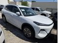 GEELY STARRAY EM-I 2026/5 - 1
