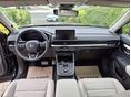 HONDA CR-V 2026 - 6