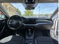 SKODA OCTAVIA 2021/8 - 7