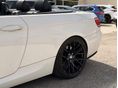 BMW 325 2009/10 - 6