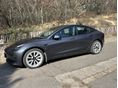 TESLA MODEL 3 2021/3 - 12