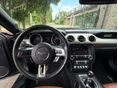 FORD MUSTANG 2018/2 - 11
