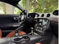 FORD MUSTANG 2018/2 - 15