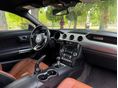 FORD MUSTANG 2018/2 - 14