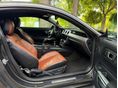 FORD MUSTANG 2018/2 - 12
