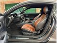 FORD MUSTANG 2018/2 - 9