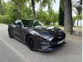 FORD MUSTANG 2018/2 - 3