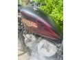 HARLEY-DAVIDSON SPORTSTER 883 LOW 2009/6 - 7