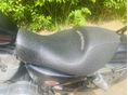 HARLEY-DAVIDSON SPORTSTER 883 LOW 2009/6 - 9