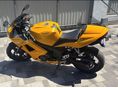 TRIUMPH DAYTONA 650 2005/9 - 4