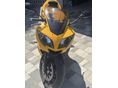 TRIUMPH DAYTONA 650 2005/9 - 2