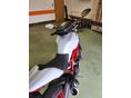 DUCATI MONSTER 797 2019/3 - 10