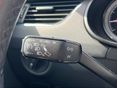 SKODA OCTAVIA 2019/2 - 15