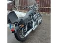 HARLEY-DAVIDSON SPORTSTER 1200 CUSTOM 