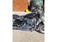 HARLEY-DAVIDSON SPORTSTER 1200 CUSTOM 2014 - 3