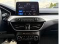 FORD FOCUS 2020/10 - 11