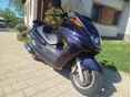 YAMAHA YP 250 MAJESTY 2001/6 - 9