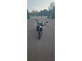 TRIUMPH SPEED FOUR 2004/7 - 2