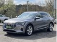AUDI E-TRON 2020/12 - 2