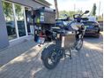 TRIUMPH TIGER 1200 2025/3 - 6