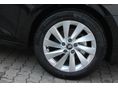 SKODA OCTAVIA 2025/10 - 5