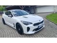 KIA STINGER 2019/9 - 3