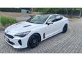 KIA STINGER 2.0 T-GDI GT-Line (Automata) 99e km! TIP-TOP!