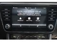 SKODA SUPERB 2023/4 - 14