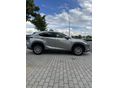 LEXUS NX 2021/6 - 7