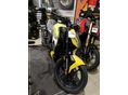 MORBIDELLI F125 2026/5 - 2