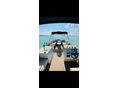 Pontoon Boat Cat 625