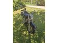 YAMAHA XVS 1100 A DRAG STAR 2007/7 - 4