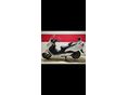 SUZUKI AN 400 BURGMAN 2002/8 - 3