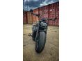 HARLEY-DAVIDSON SPORTSTER S 2022/6 - 6