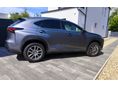 LEXUS NX 300h Executive Plus Safety CVT