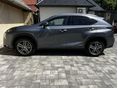 LEXUS NX 2016/5 - 8