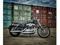 HARLEY-DAVIDSON SPORTSTER 2014/6 - 1