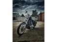 HARLEY-DAVIDSON SPORTSTER 2014/6 - 5