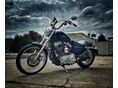 HARLEY-DAVIDSON SPORTSTER 2014/6 - 6