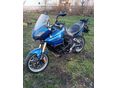 TRIUMPH TIGER 1050 