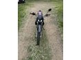 APRILIA RX 50 2006/1 - 3