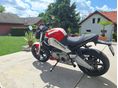 BUELL XB9SX 2005/5 - 3