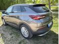 OPEL GRANDLAND X 2019/3 - 10