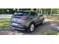 OPEL GRANDLAND X 2019/10 - 4