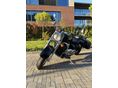 SUZUKI VL 800 (INTRUDER) C800